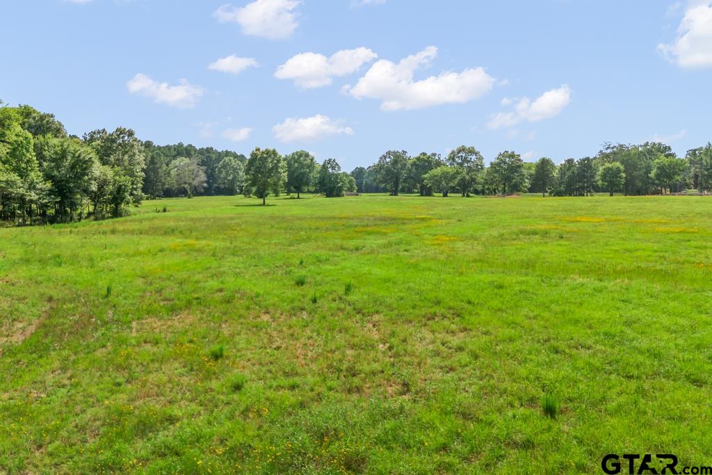 2 Maple Springs Road Hallsville, TX 75650 - Photo 15 of 19 a view of a green field with trees in the background
