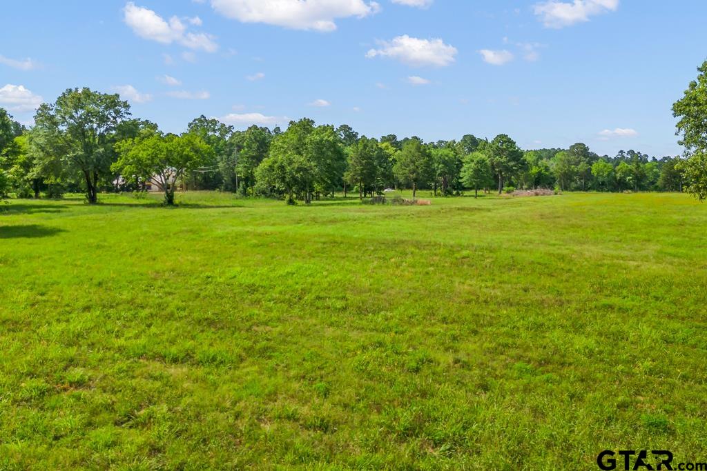 2 Maple Springs Road Hallsville, TX 75650 - Photo 16 of 19 a view of a green field