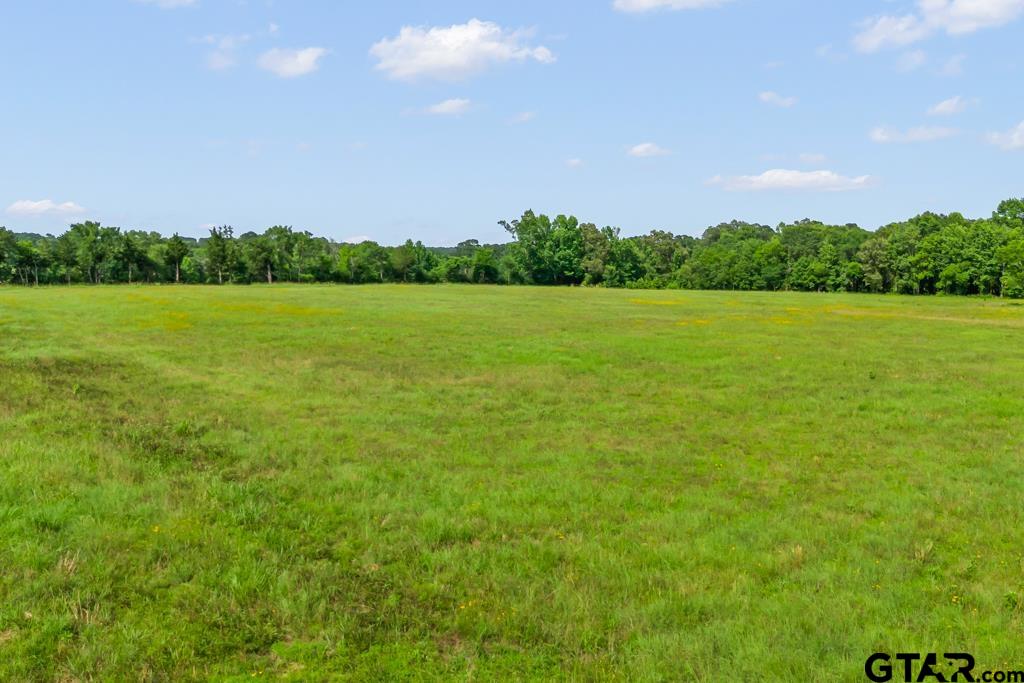 2 Maple Springs Road Hallsville, TX 75650 - Photo 17 of 19 a view of a field with an ocean