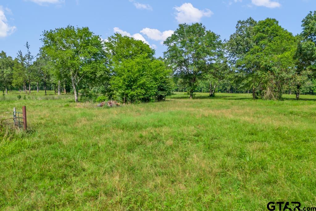 2 Maple Springs Road Hallsville, TX 75650 - Photo 18 of 19 a view of a big yard with a large tree and plants