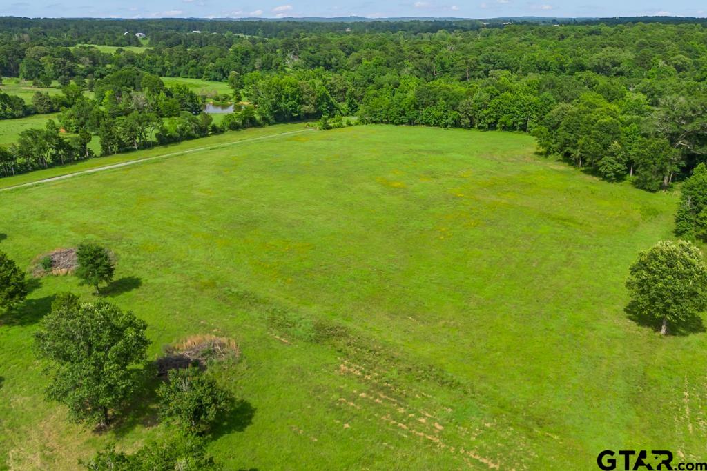 2 Maple Springs Road Hallsville, TX 75650 - Photo 19 of 19 a view of a garden with a building in the background