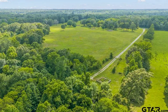 a view of a city with lush green forest