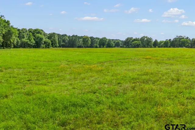 a view of a grassy field with trees in the background