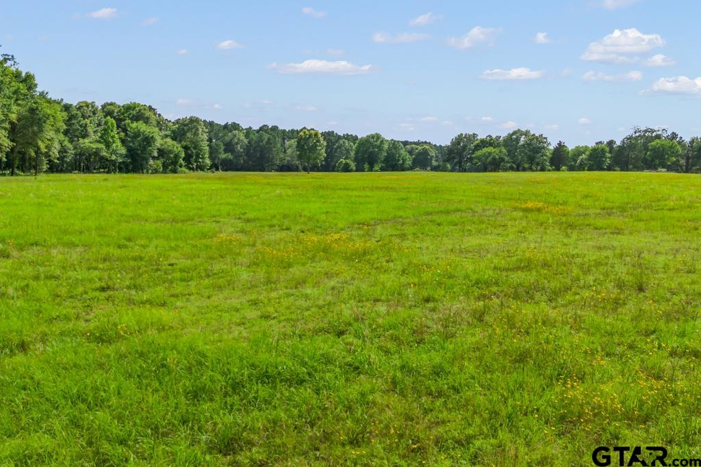 2 Maple Springs Road Hallsville, TX 75650 - Photo 6 of 19 a view of a grassy field with trees in the background
