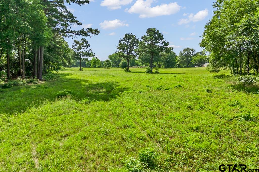 2 Maple Springs Road Hallsville, TX 75650 - Photo 7 of 19 a view of a green field with wooden fence