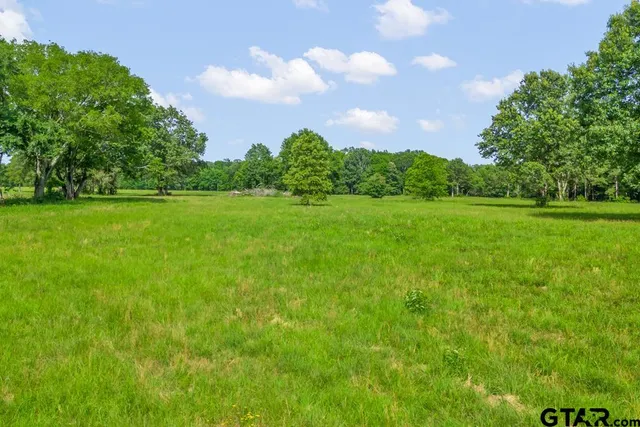 a view of field with trees in the background