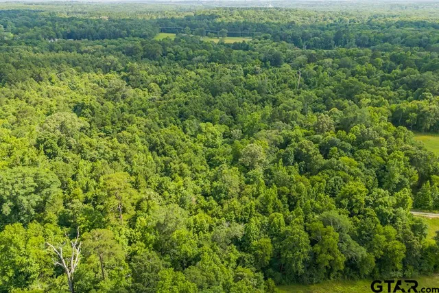 a view of a lush green forest with trees and some houses