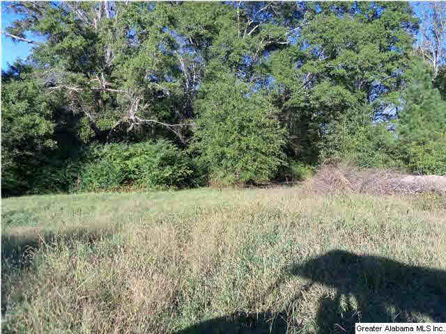 6841 Chesser Road Bessemer, AL 35023 - Photo 14 of 26