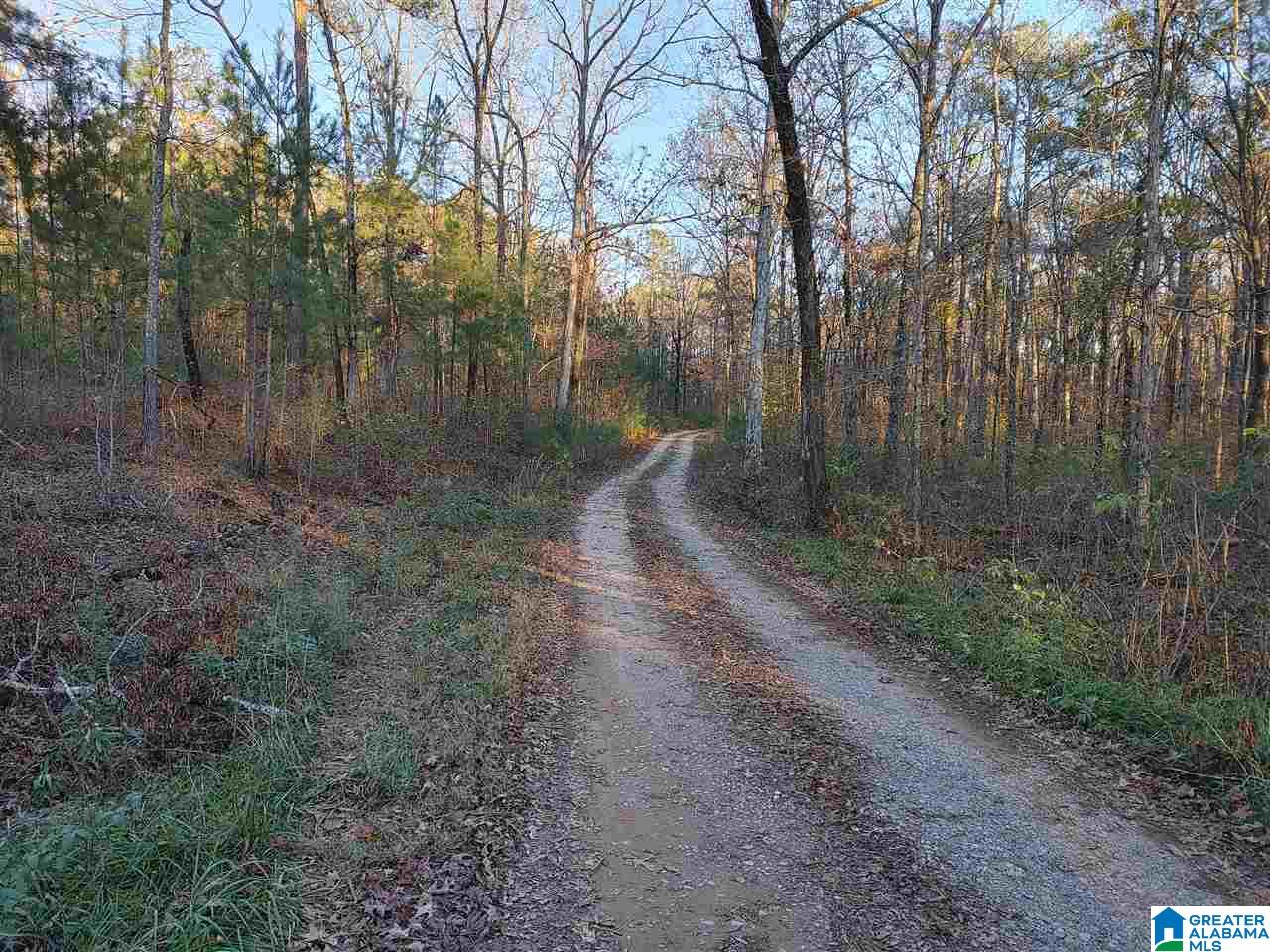 1979 East Marble Valley Road Sylacauga, AL 35151 - Photo 1 of 9 Gallery Image 1