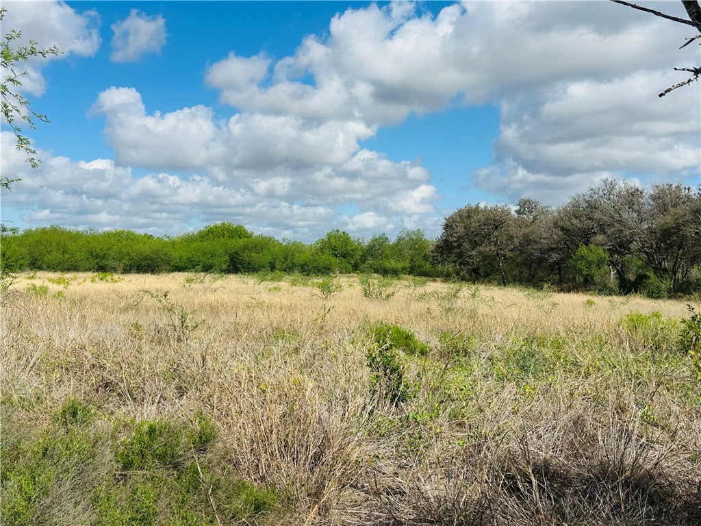 Undisclosed Address Mathis, TX 78368 - Photo 2 of 13 a view of a lake from a yard