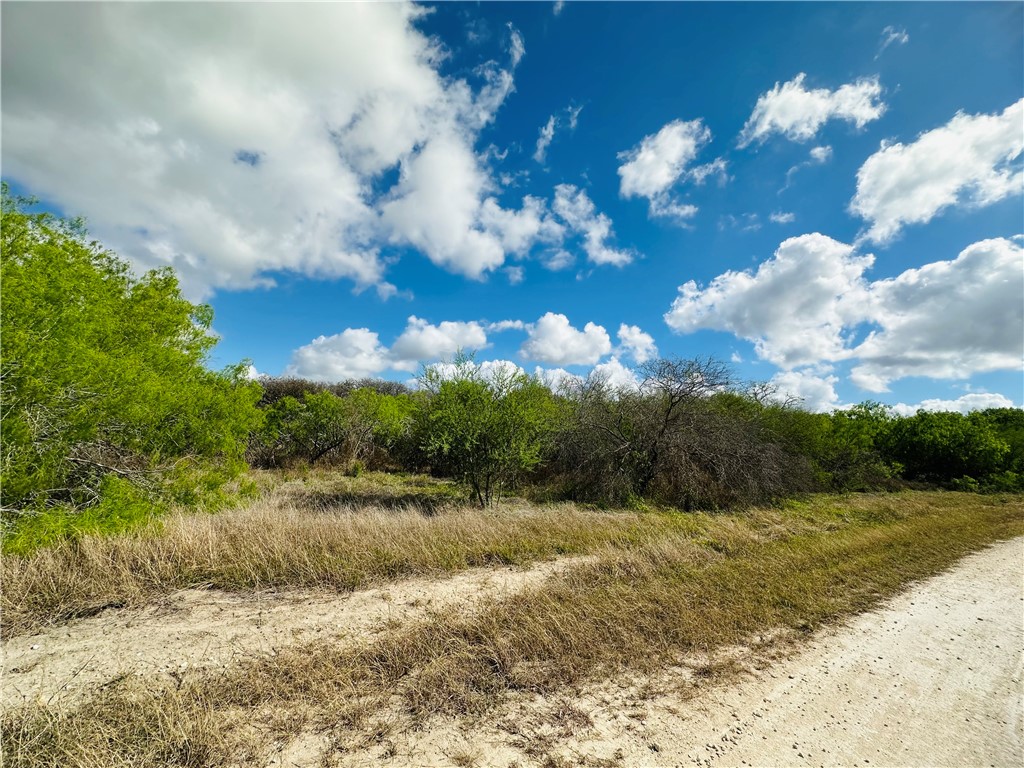 Undisclosed Address Mathis, TX 78368 - Photo 5 of 13 a view of a lake with a yard