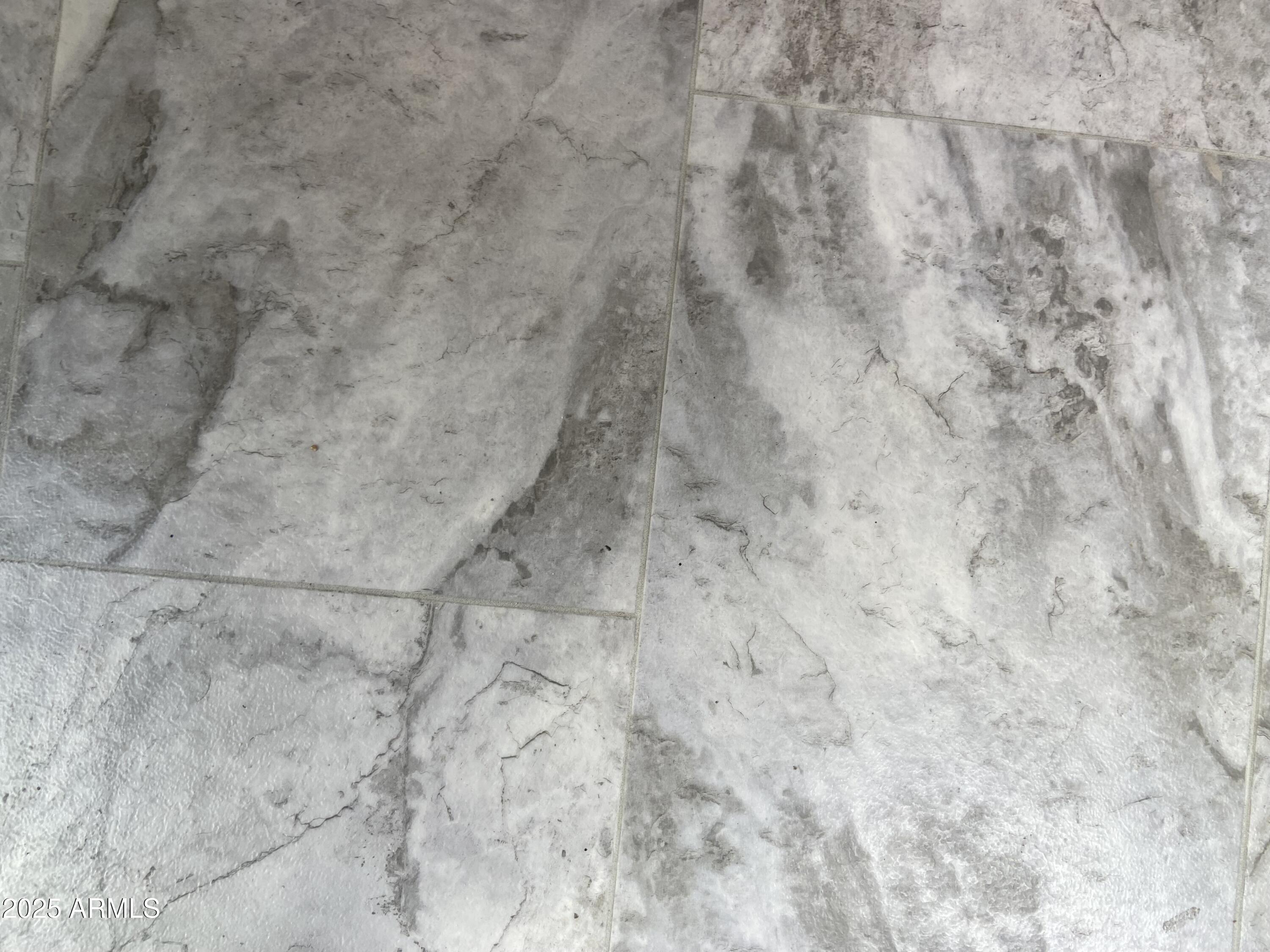 1177 Kiowa Circle Apache Junction, AZ 85119 - Photo 4 of 24 a close up of a marble wall