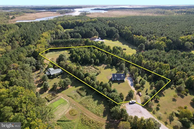 a view of a balcony with a forest