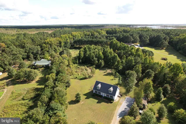 a view of a lake with trees in the background