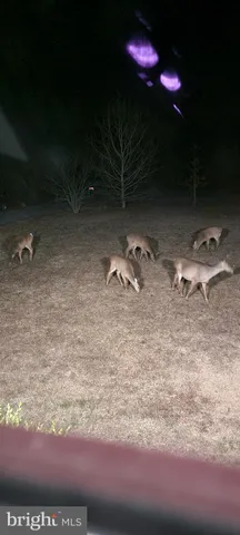 $366,000 | 3900 Lewis Lane, Cambridge, MD 21613