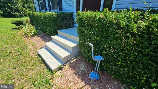 a view of a garden with plants