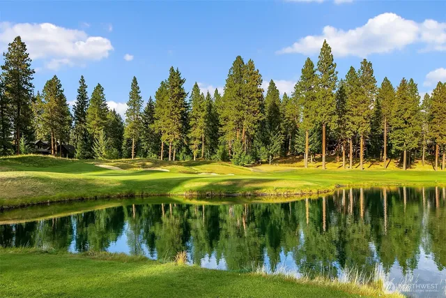a view of a swimming pool with a yard and green space