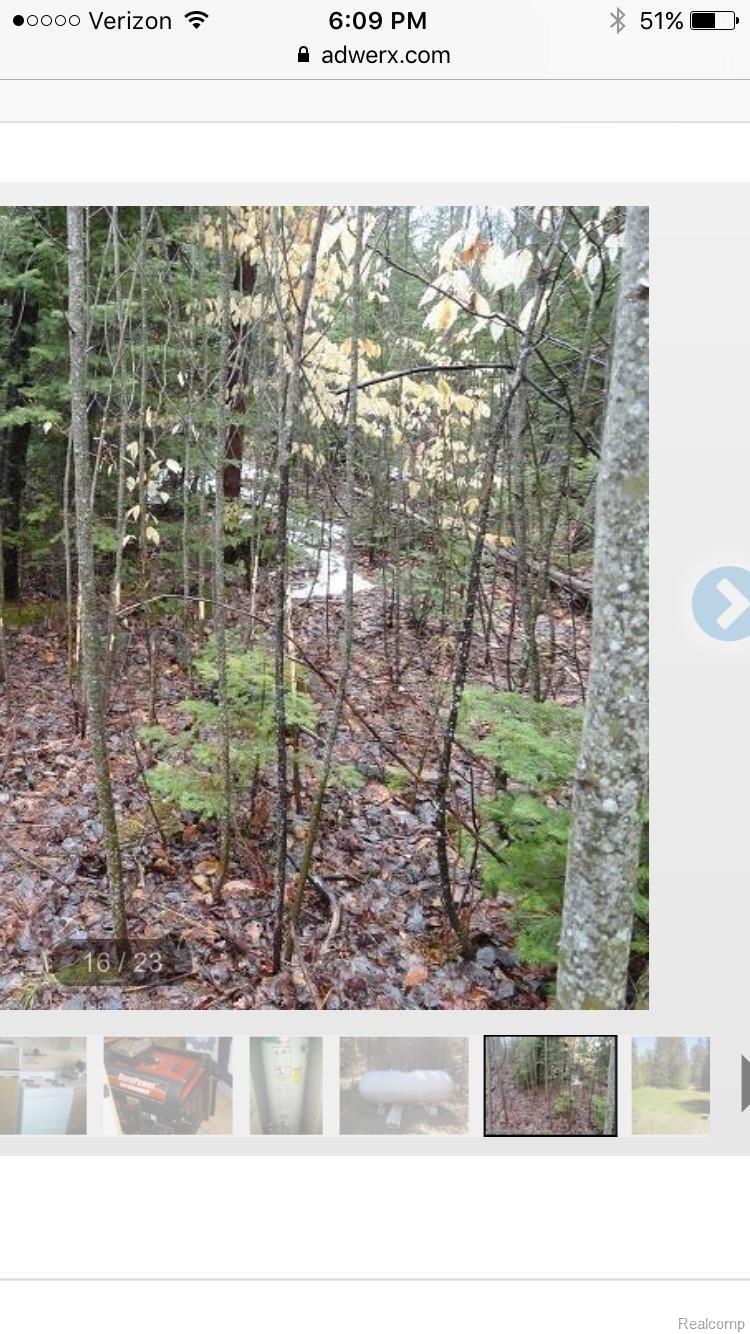 8310 Co Road Wetmore, MI 49895 - Photo 17 of 19 CE3D48D3-DB08-4AA4-A51B-7E6124D56821.jpeg