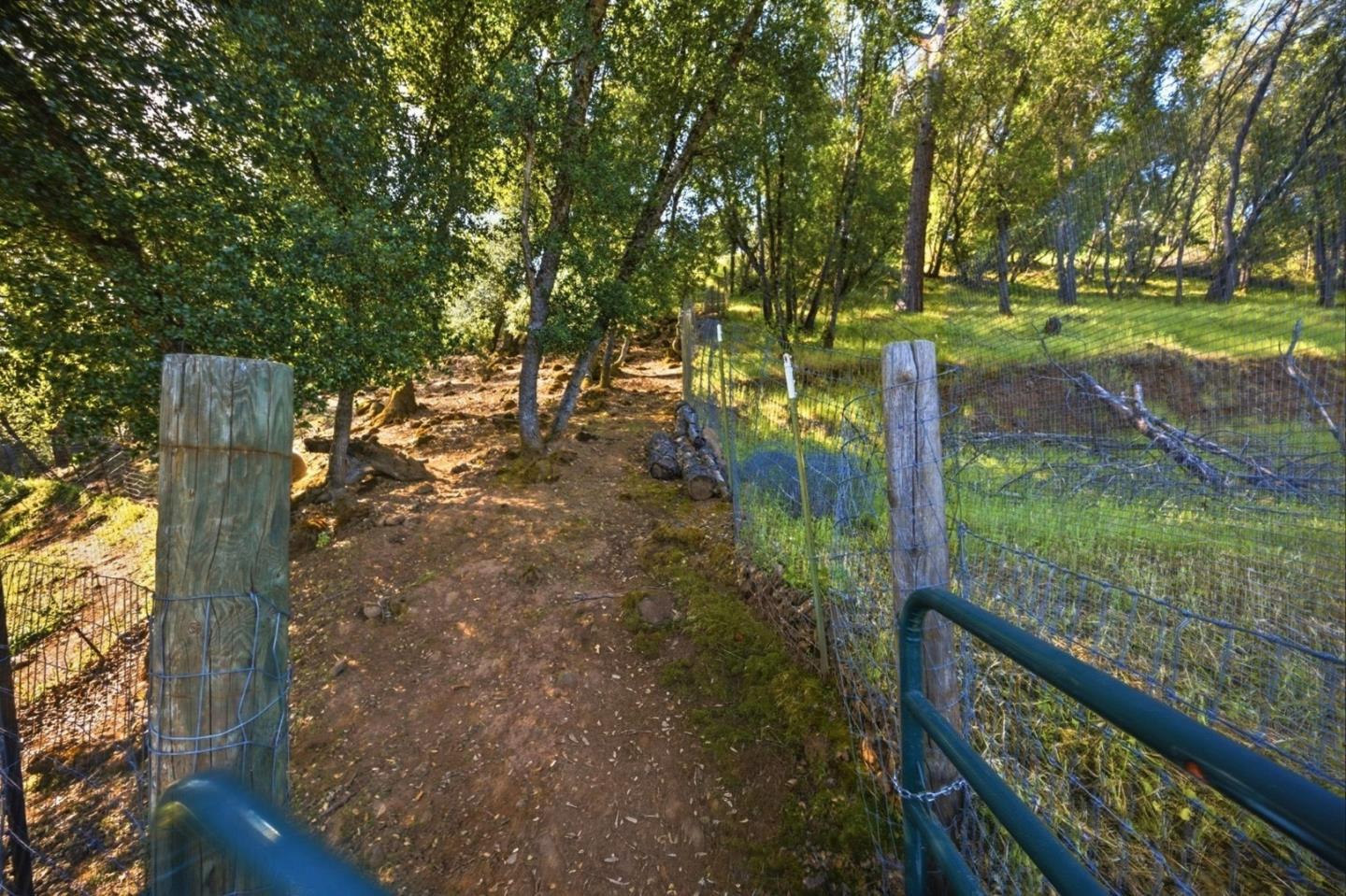 2353 Stagecoach Canyon Road Pope Valley, CA 94567 - Photo 32 of 46 a view of a yard with large trees