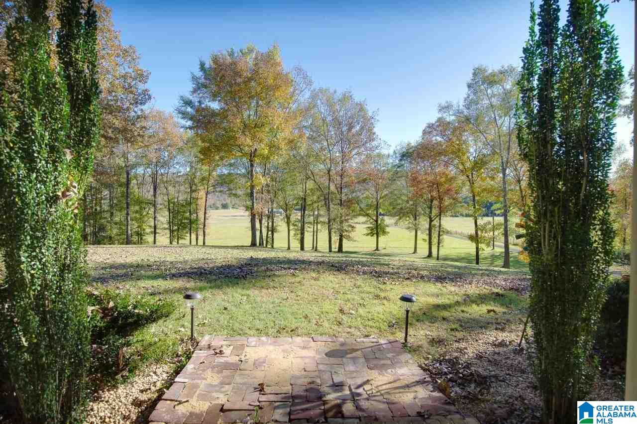 6145 Shoal Creek Road Ashville, AL 35953 - Photo 7 of 30