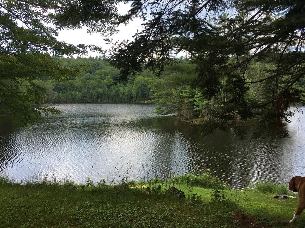 1711 French Pond Road Haverhill, NH 03785 - Photo 19 of 20