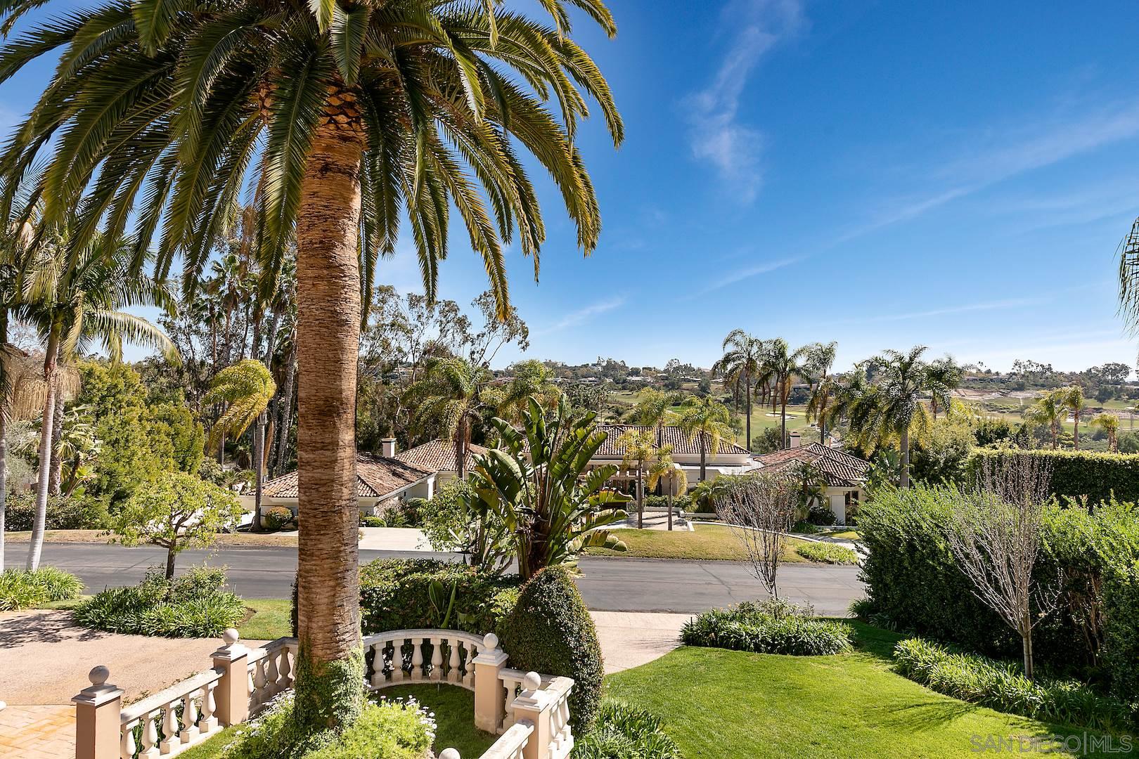 7583 St Andrews Road Rancho Santa Fe, CA 92067 - Photo 23 of 29 a view of a yard with a palm tree