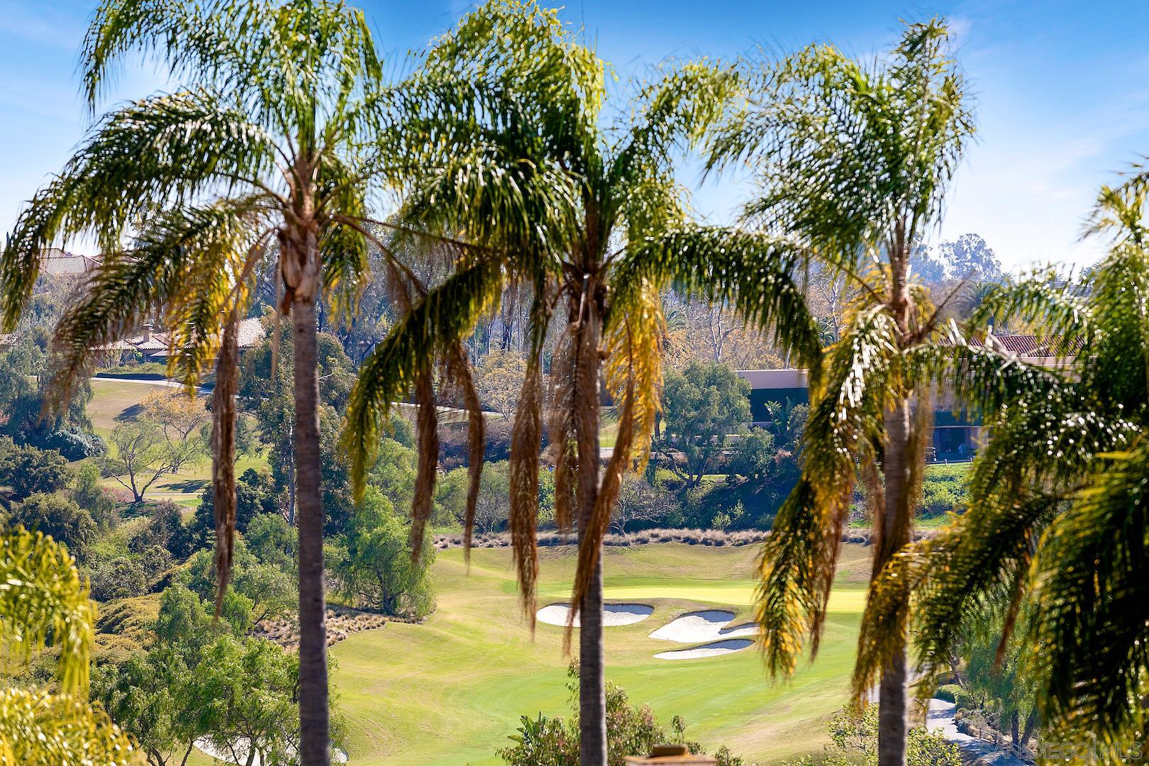 7583 St Andrews Road Rancho Santa Fe, CA 92067 - Photo 28 of 29 a view of swimming pool with a tree