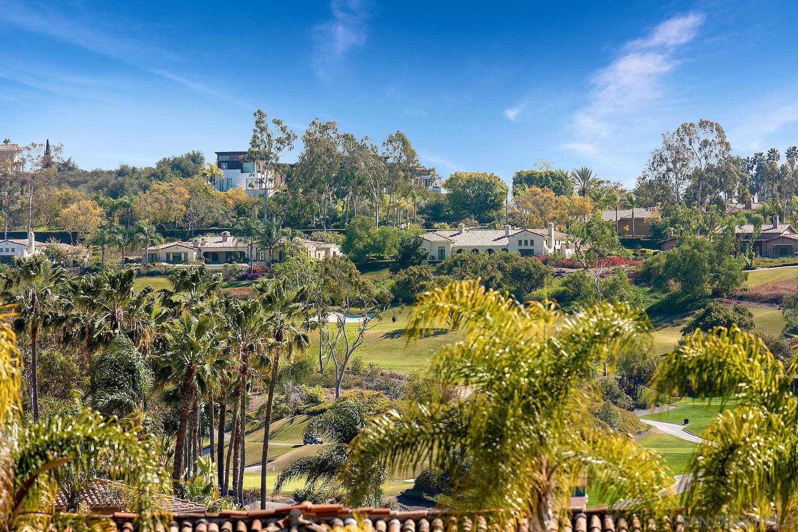 7583 St Andrews Road Rancho Santa Fe, CA 92067 - Photo 29 of 29 a view of a houses with a yard