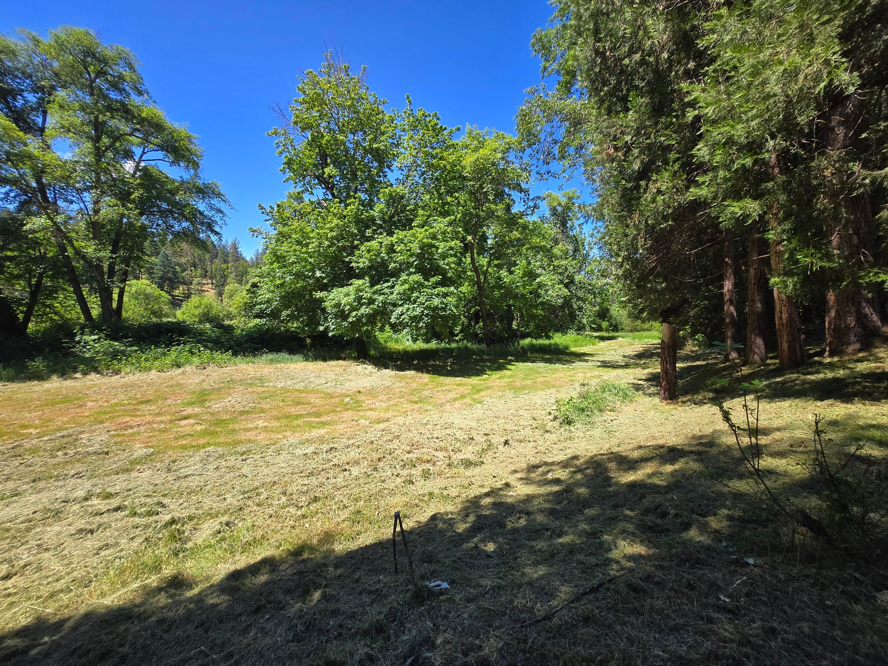 1730 Hugo Road Merlin, OR 97532 - Photo 36 of 37 20250529_143656