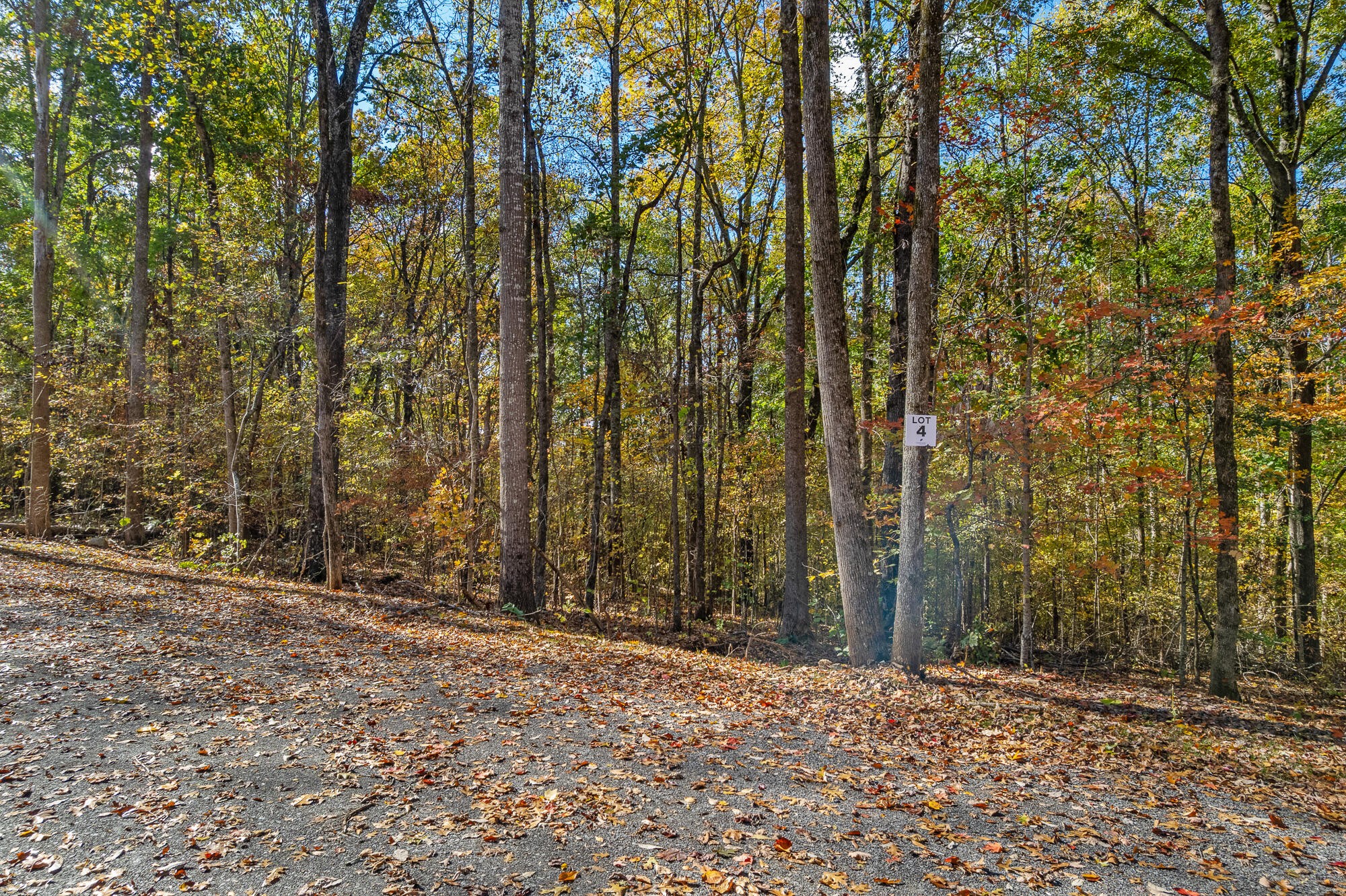 29 County Road Riceville, TN 37370 - Photo 10 of 29 Gallery Image 10