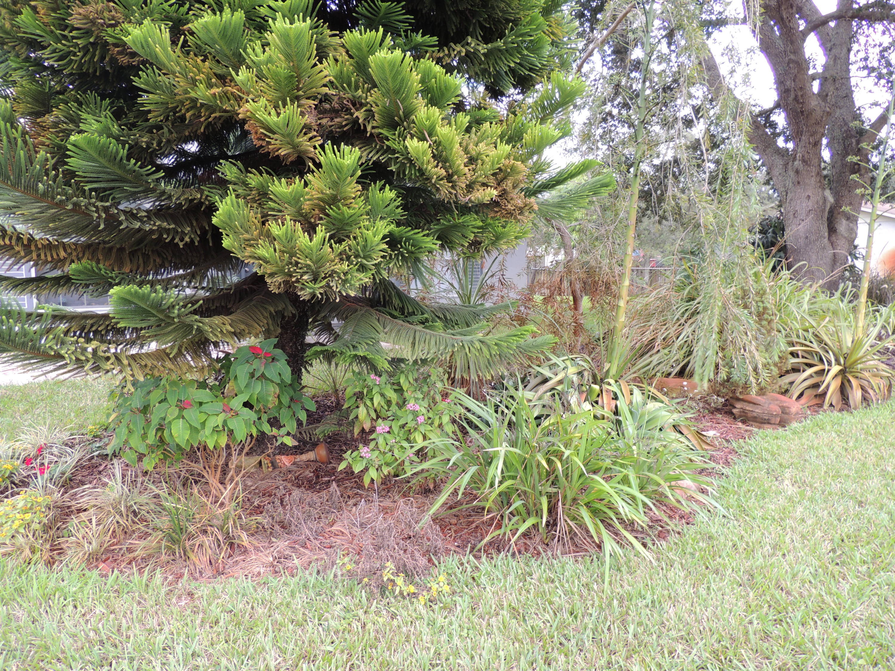 4270 Canela Road Cocoa, FL 32927 - Photo 41 of 56 DSCN3767