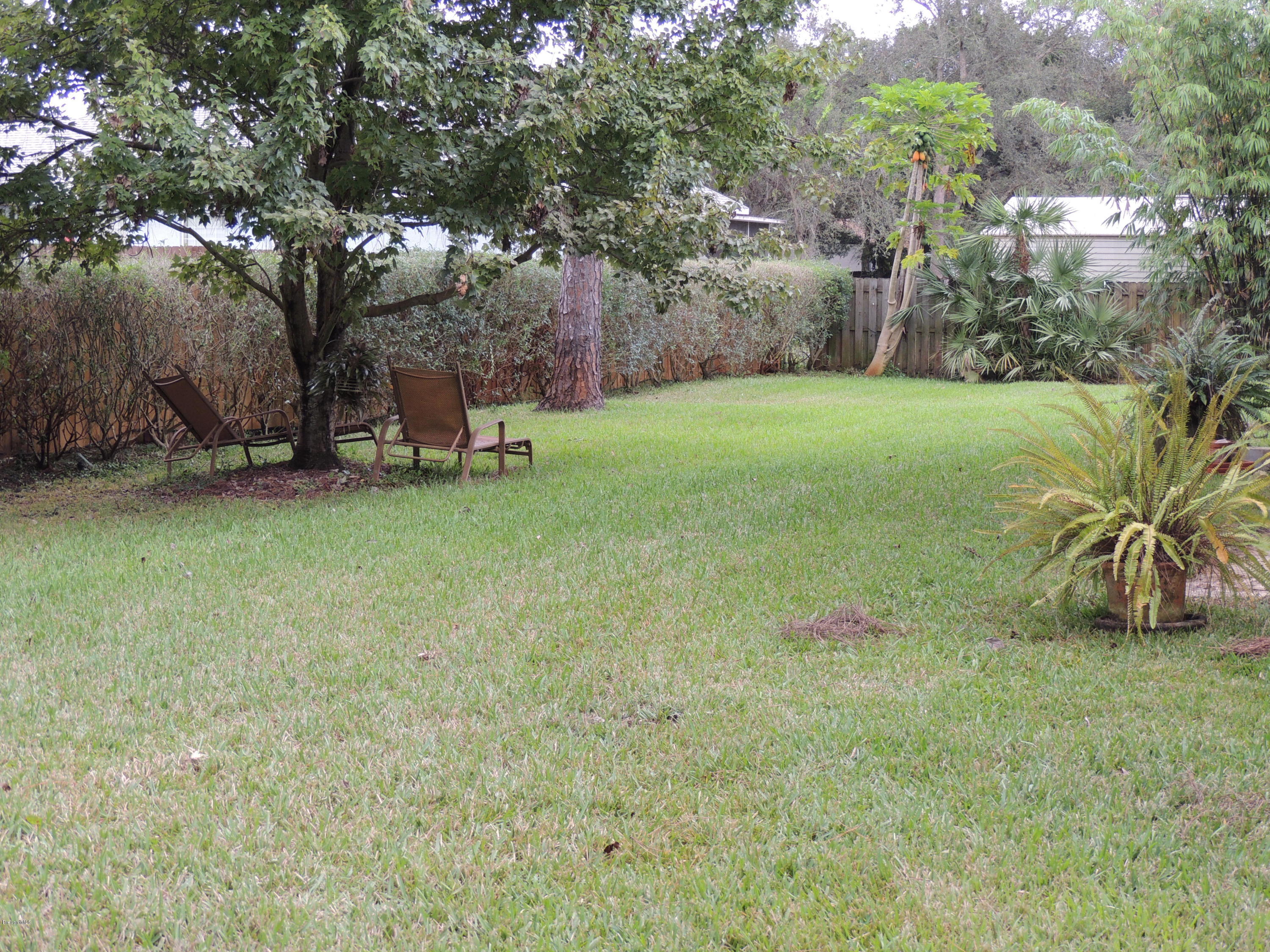 4270 Canela Road Cocoa, FL 32927 - Photo 54 of 56 DSCN3777