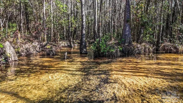 a view of mountain view with lush green forest