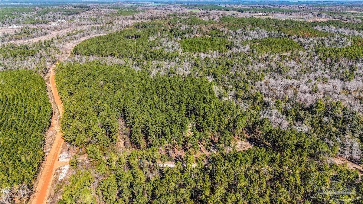 8340 Gin Road Pace, FL 32571 - Photo 19 of 24 a view of a lush green forest with beach and green space