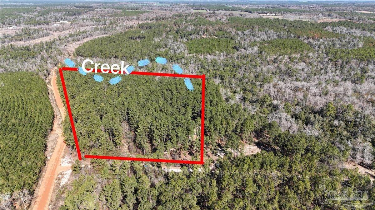 8340 Gin Road Pace, FL 32571 - Photo 20 of 24 a view of a wooden house with a yard and large trees