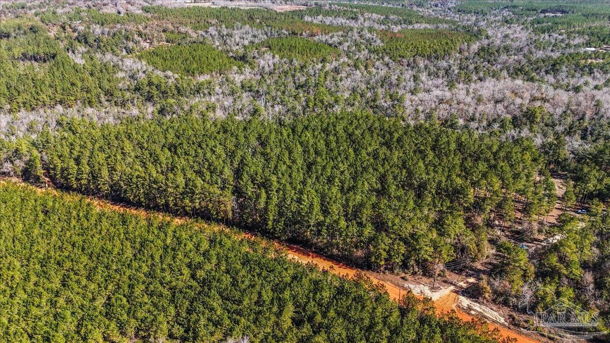 8340 Gin Road Pace, FL 32571 - Photo 2 of 24 a view of mountain view with lush green forest