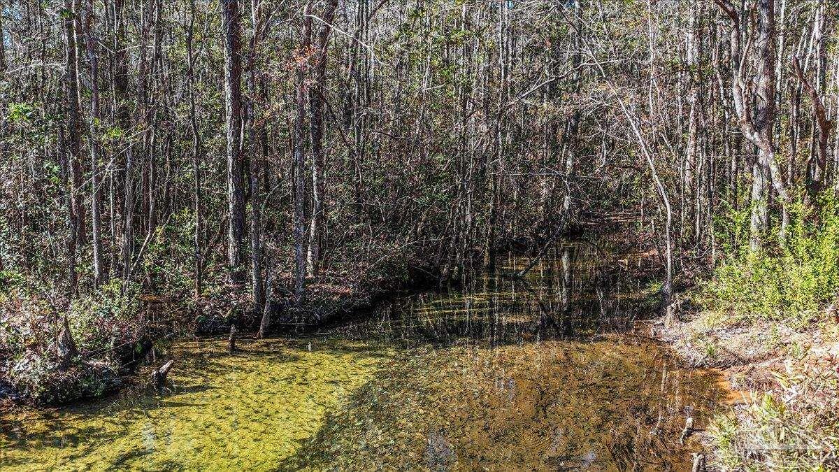 8340 Gin Road Pace, FL 32571 - Photo 5 of 24 a view of outdoor space with trees