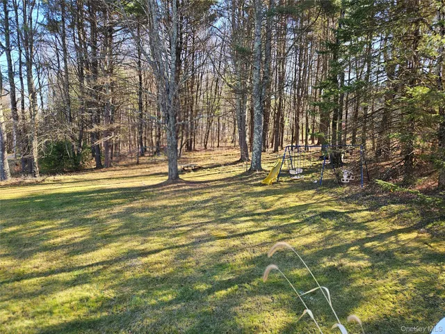 a view of a park with a large trees