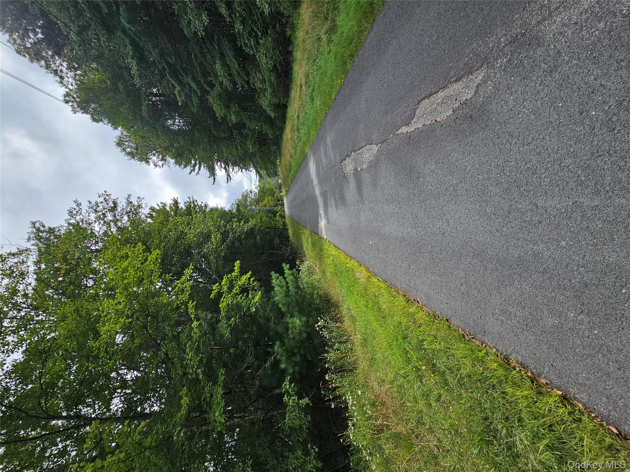 3624 State Rte 55 Kauneonga Lake, NY 12749 - Photo 18 of 40 a view of a garden and basketball court