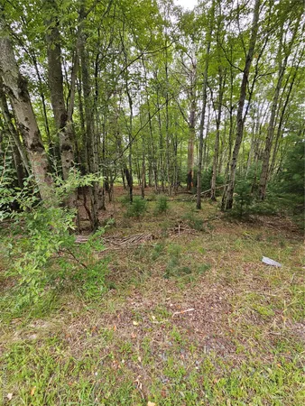 a view of outdoor space and trees