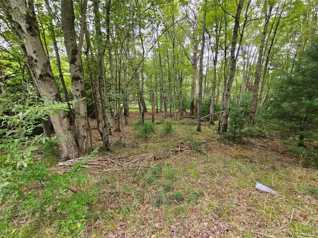 a view of outdoor space with green field and trees