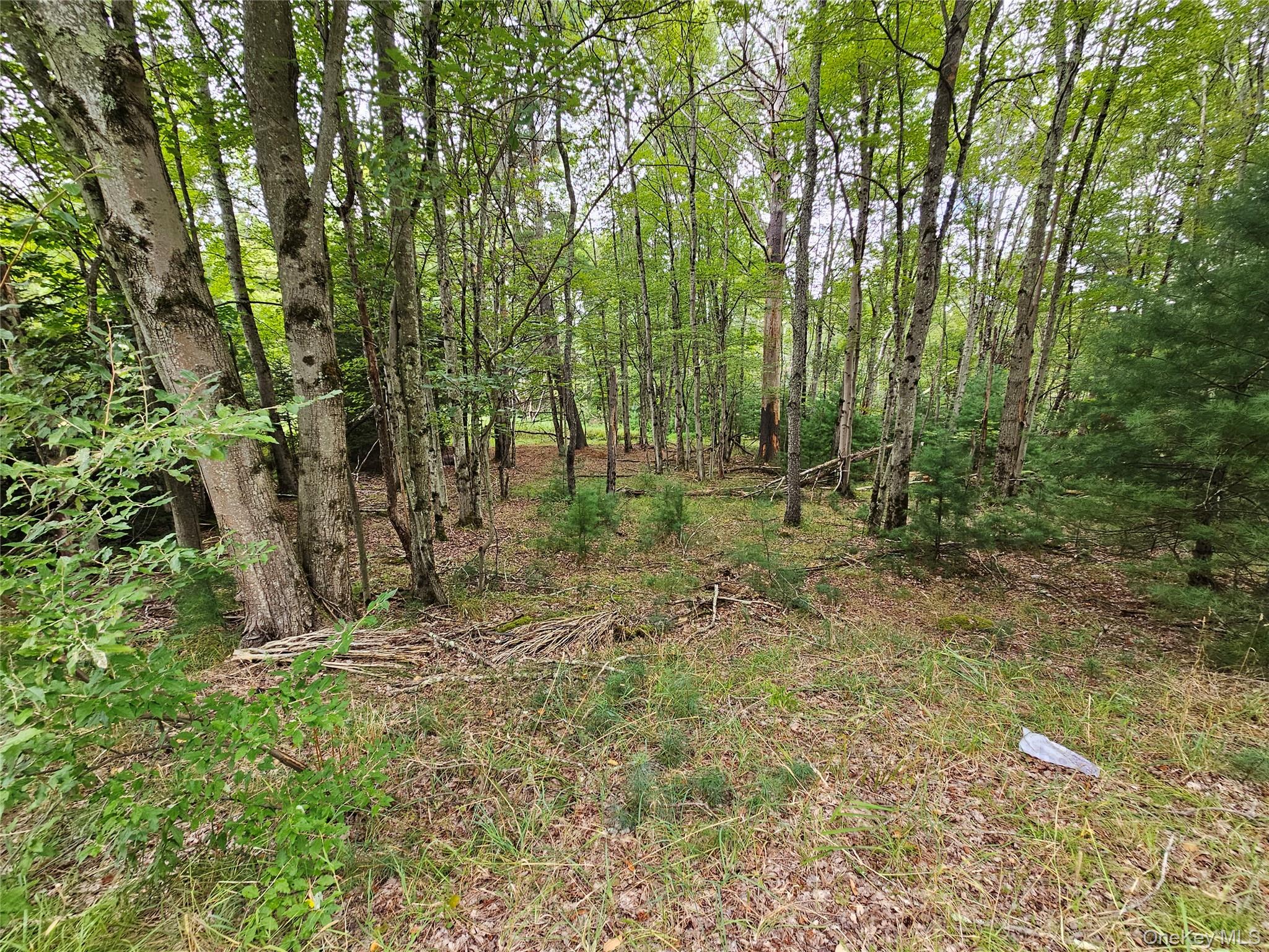 3624 State Rte 55 Kauneonga Lake, NY 12749 - Photo 20 of 40 a view of outdoor space and green space