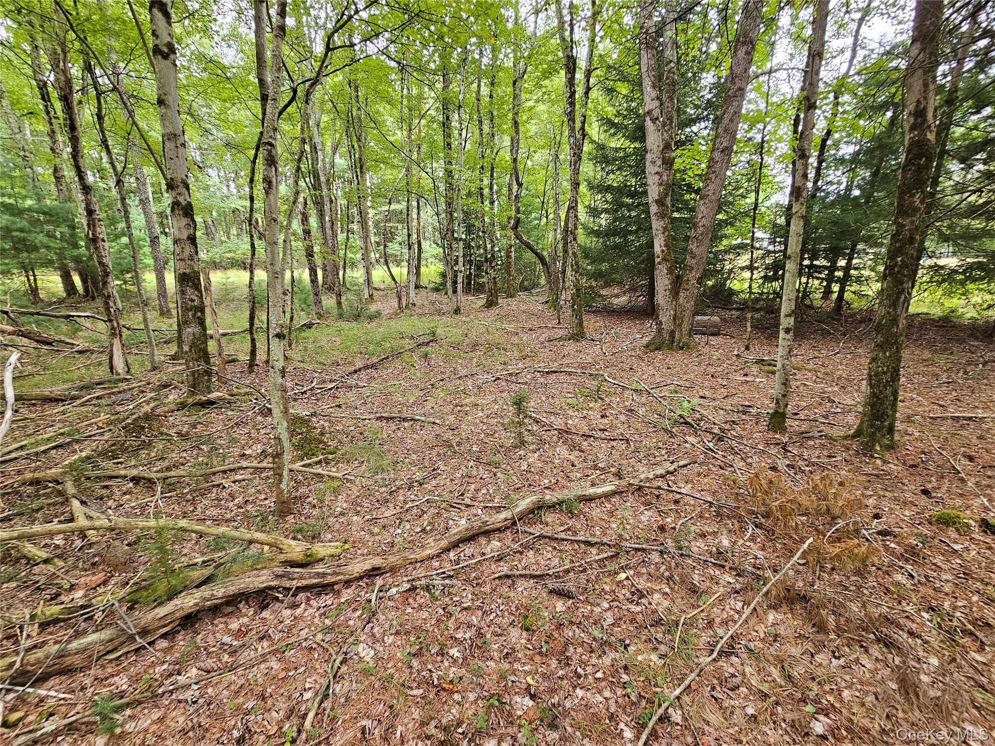 3624 State Rte 55 Kauneonga Lake, NY 12749 - Photo 21 of 40 a view of outdoor space with deck