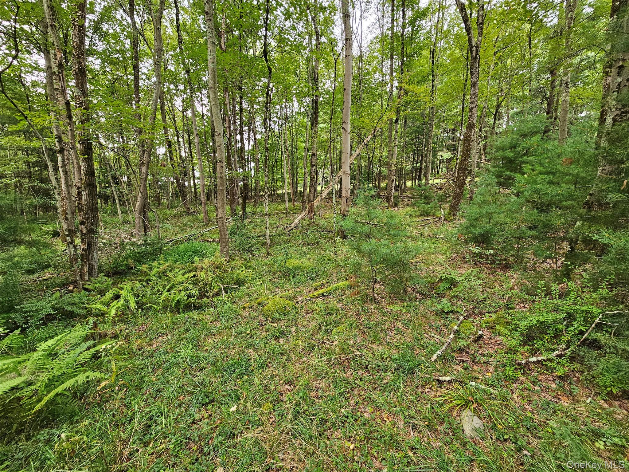 3624 State Rte 55 Kauneonga Lake, NY 12749 - Photo 23 of 40 a view of outdoor space with green field and trees