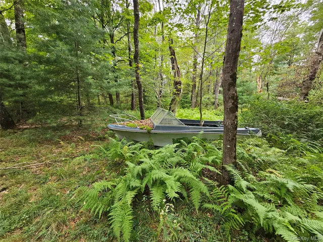 a plant view in yard