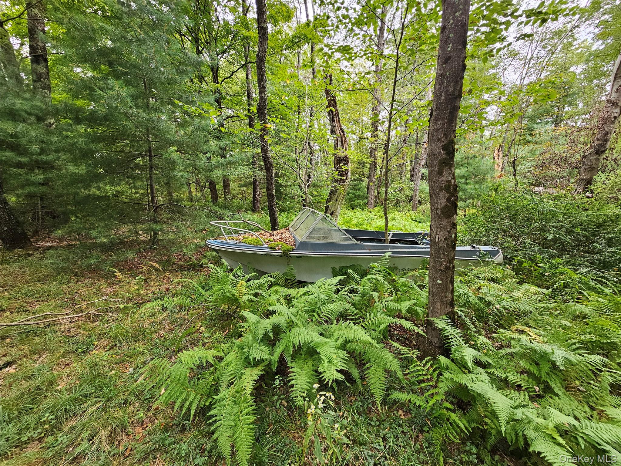 3624 State Rte 55 Kauneonga Lake, NY 12749 - Photo 24 of 40 a backyard of a house with lots of green space and fountain