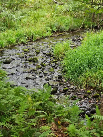 a view of a road with a yard
