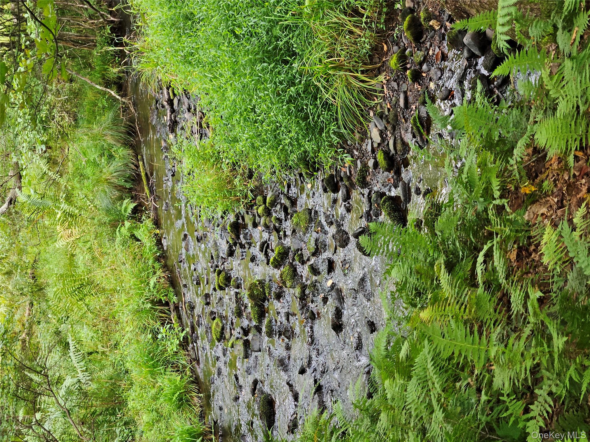3624 State Rte 55 Kauneonga Lake, NY 12749 - Photo 26 of 40 a view of a lush green forest