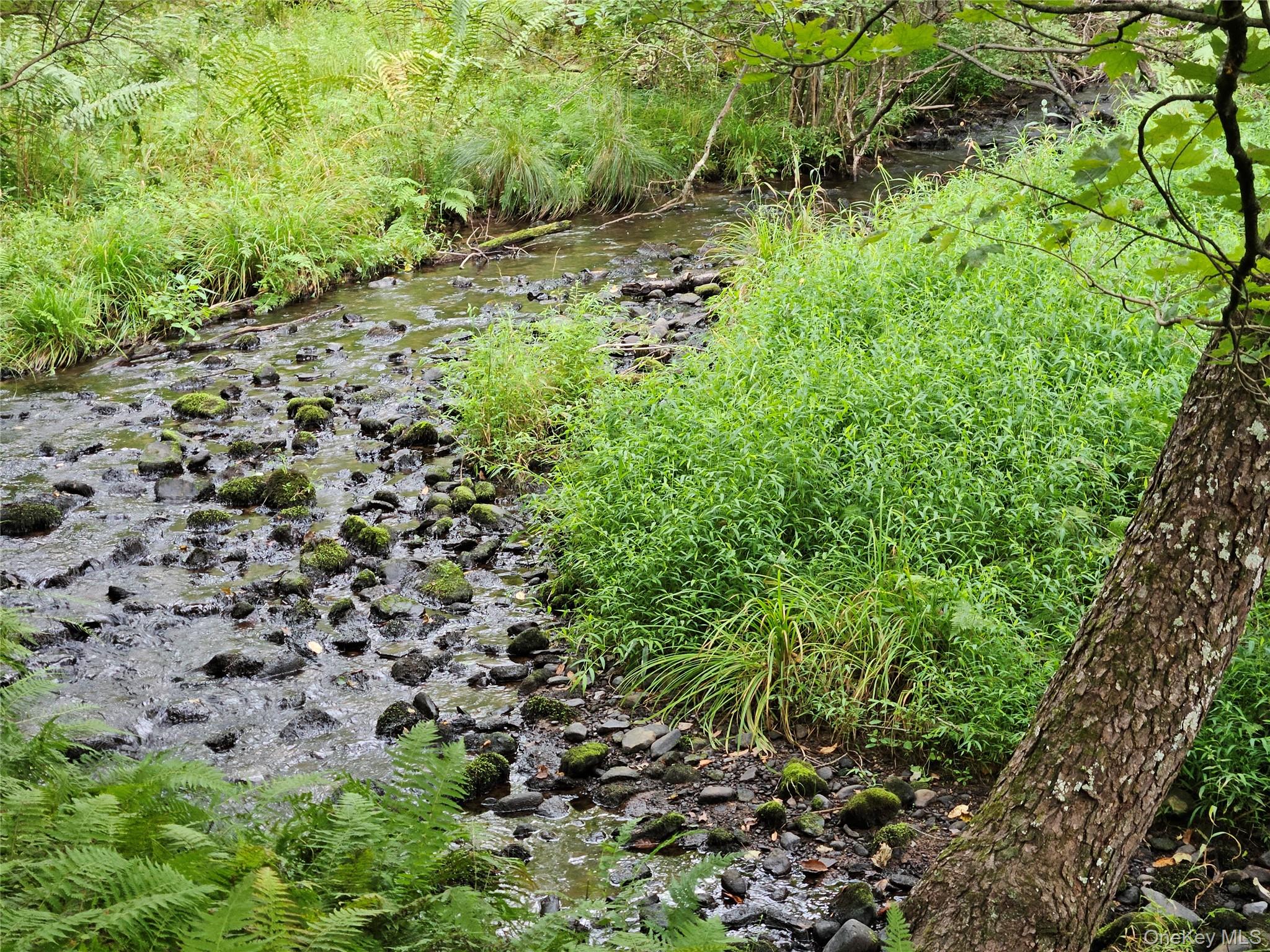 3624 State Rte 55 Kauneonga Lake, NY 12749 - Photo 27 of 40 a plant view in yard