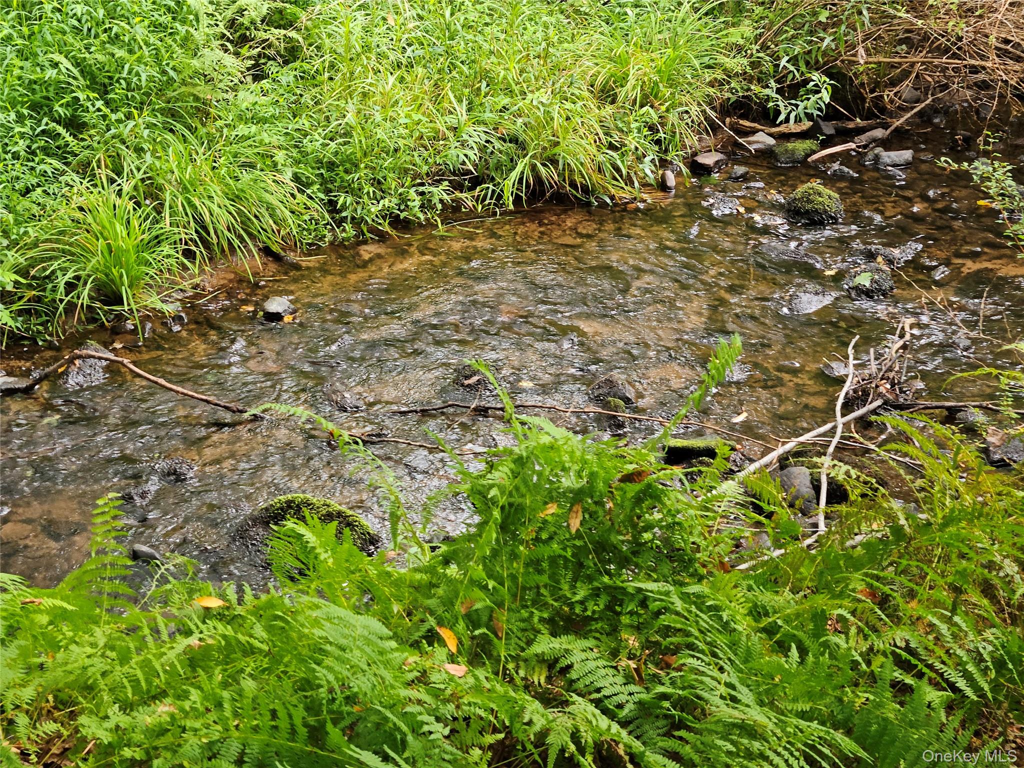 3624 State Rte 55 Kauneonga Lake, NY 12749 - Photo 28 of 40 a view of a tree